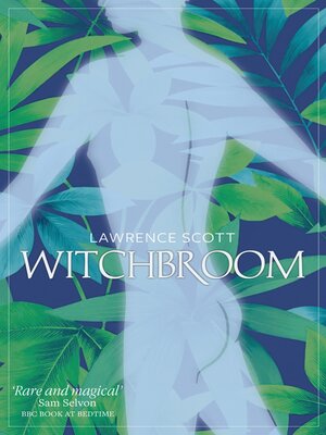 cover image of Witchbroom